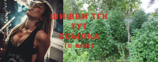 хмурый Инсар