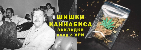 хмурый Инсар